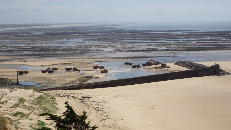 Diggers removing sand